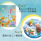 夏の風音（約50枚入）