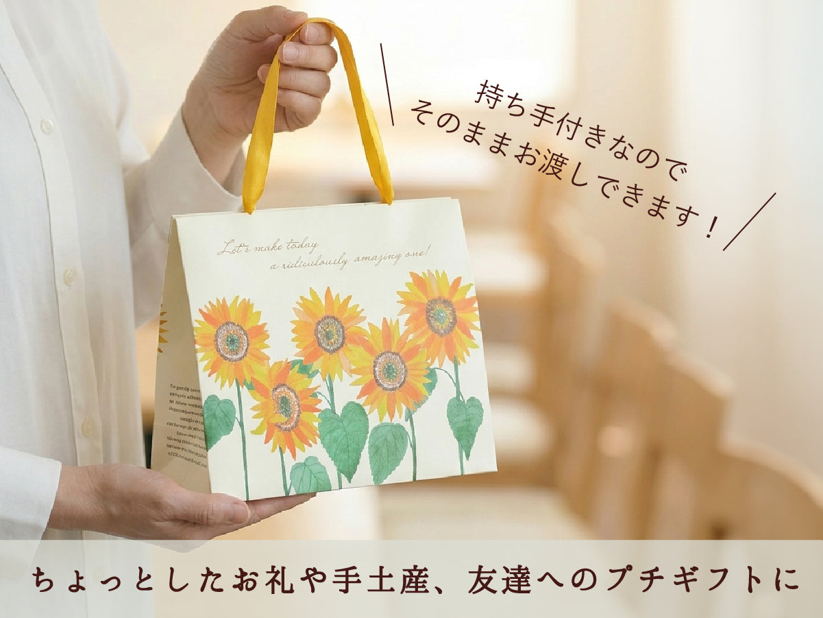 パスタスナック SUMMERプチギフト